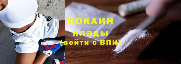 соль ск Алексин